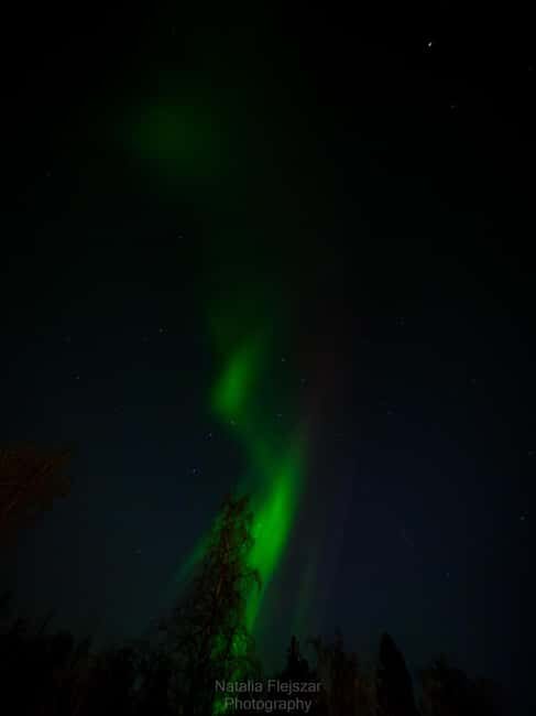 Oulu: Guided Night Walking Tour with Northern Lights Hunting - Final Thoughts