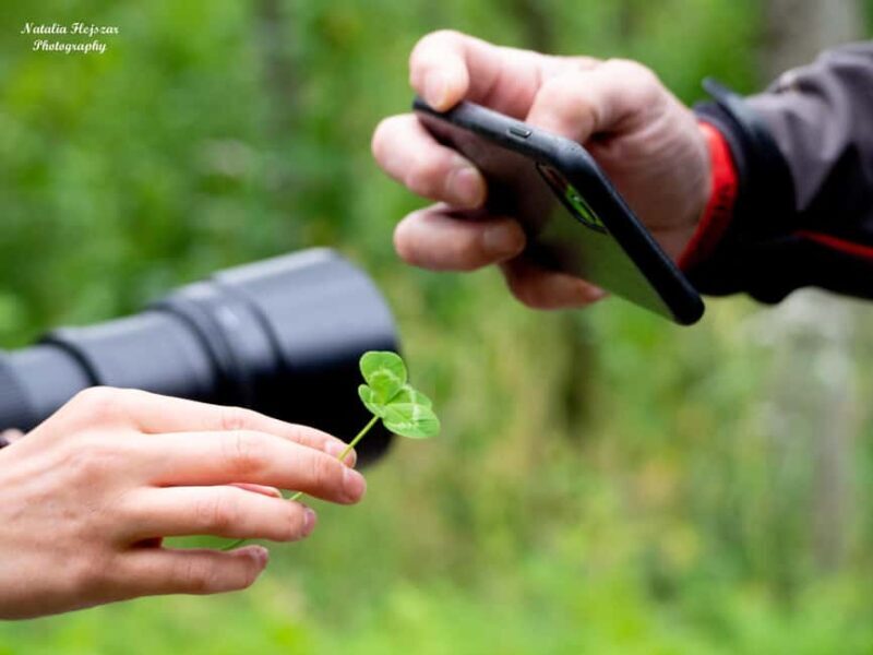 Oulu: Hietasaari Family Nature Walk with Picnic - An Overview of the Experience