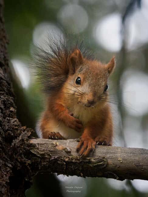 Oulu: Hietasaari Family Nature Walk with Picnic - Is This Tour Worth It?