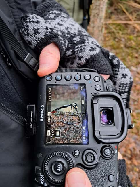 Oulu: Hietasaari Wildlife Hike with Nature Guide - Location and Accessibility