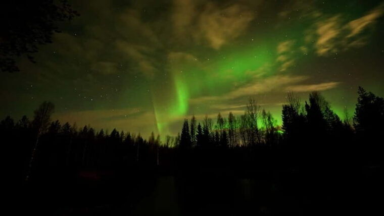 Oulu: Starguaranteed Northern Lights Mobile Chase - The Sum Up