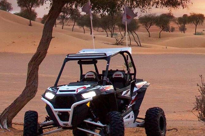 Our Famous 2 Hour Buggy Tours/ Polaris Rzr 1000cc/ 2 Seater/ 2 Hours Drive Time - Pricing and Provider