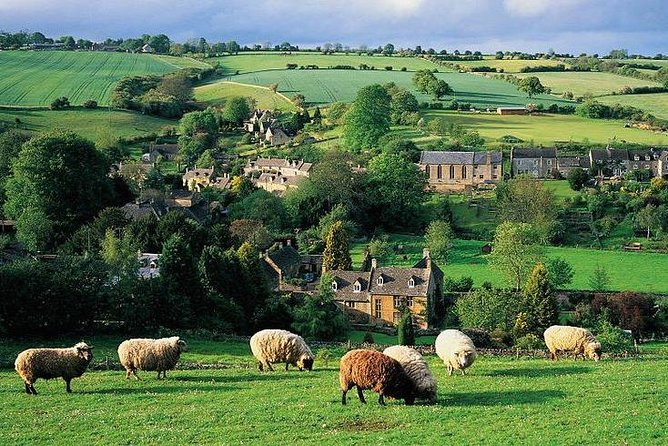Our Famous North Cotswold Tour - Reviews