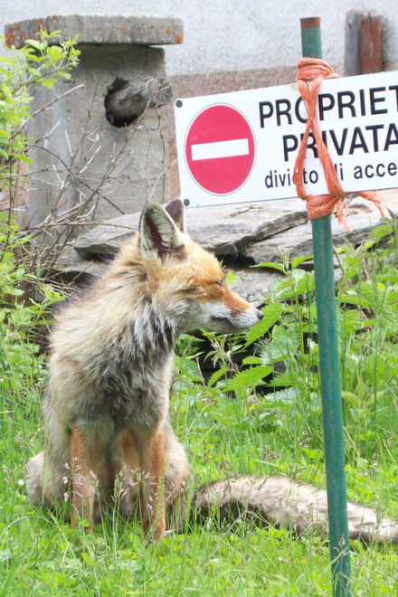 OUR FANTASTIC NATIONAL PARK! - Itinerary Details