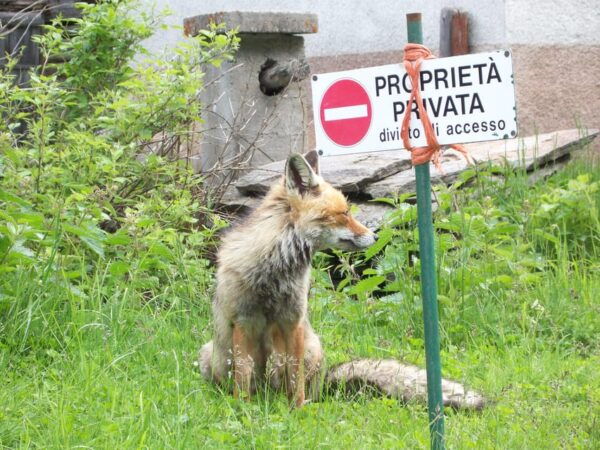 OUR FANTASTIC NATIONAL PARK! - Wildlife Spotting Opportunities