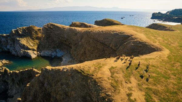 Ouranoupoli: Ammouliani & Drenia Islands Private Cruise - Price Information