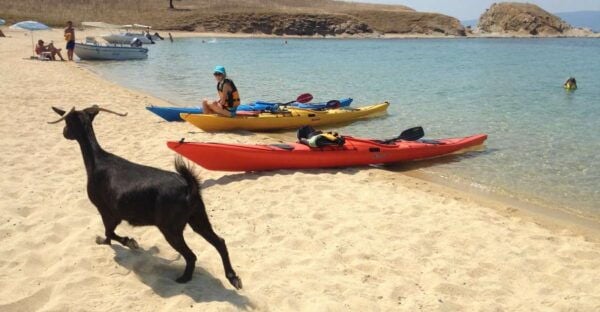 Ouranoupoli: Sea Kayaking Drenia Islands Private Day Tour - Background