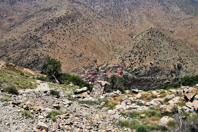 Ourika Day Tour From Marrakech - Reviews