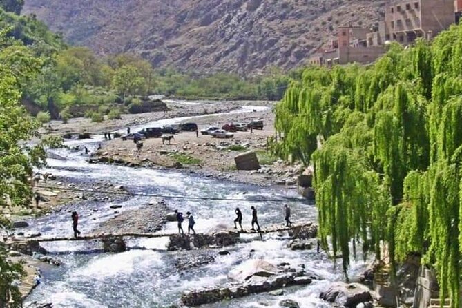 Ourika Day Tour From Marrakech - Common Questions