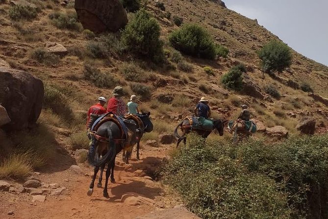 Ourika Tizi Noucheg - Meeting and End Points