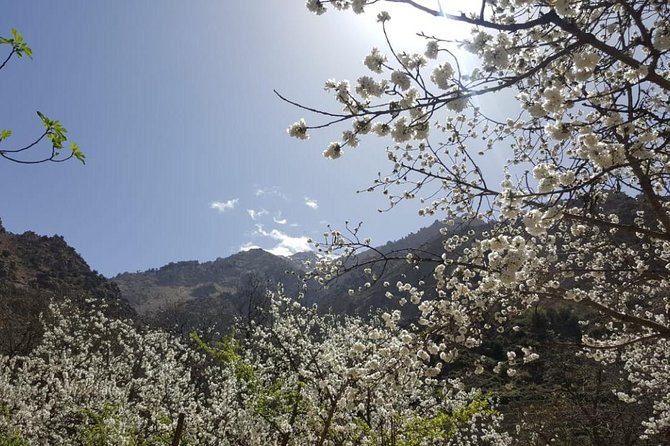 Ourika Tizi Noucheg - Reviews and Guarantee