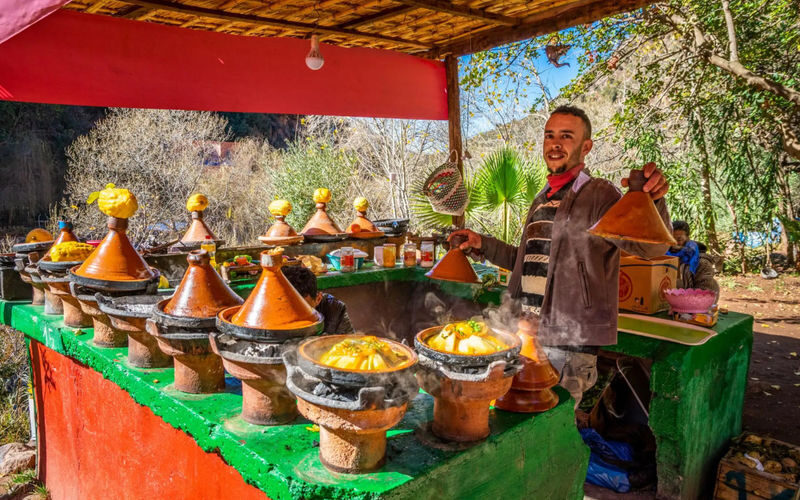 Ourika Valley and Atlas Mountains Day Tour from Marrakech - What you can expect from the itinerary