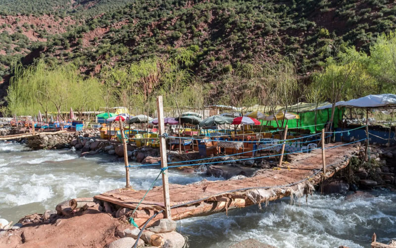 Ourika Valley and Atlas Mountains Day Tour from Marrakech - Is this a good fit for your Marrakech plans?