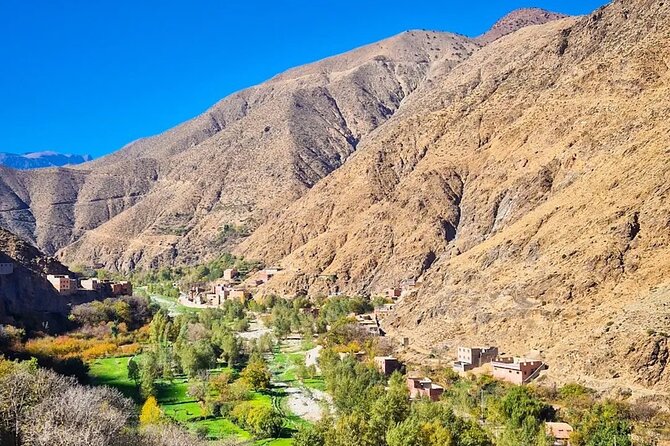 Ourika Valley and Atlas Mountains Day Trip From Marrakech - Tour Highlights