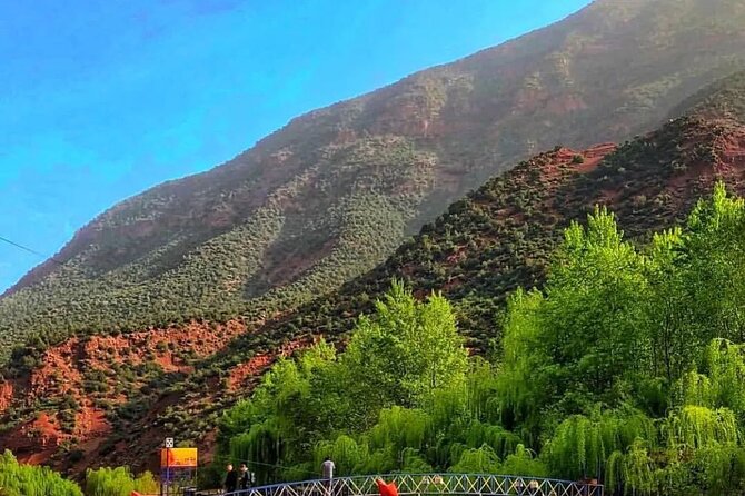 Ourika Valley and Atlas Mountains Day Trip From Marrakech - Itinerary Overview