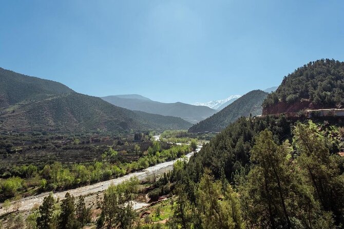 Ourika Valley and Atlas Mountains Day Trip From Marrakech - Cultural Encounters