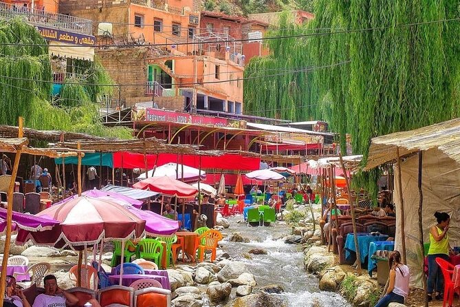 Ourika Valley and Atlas Mountains Day Trip From Marrakech - Customer Reviews