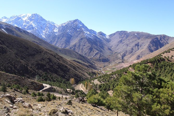 Ourika Valley and Atlas Mountains Excursion - Overview of Ourika Valley and Atlas Mountains
