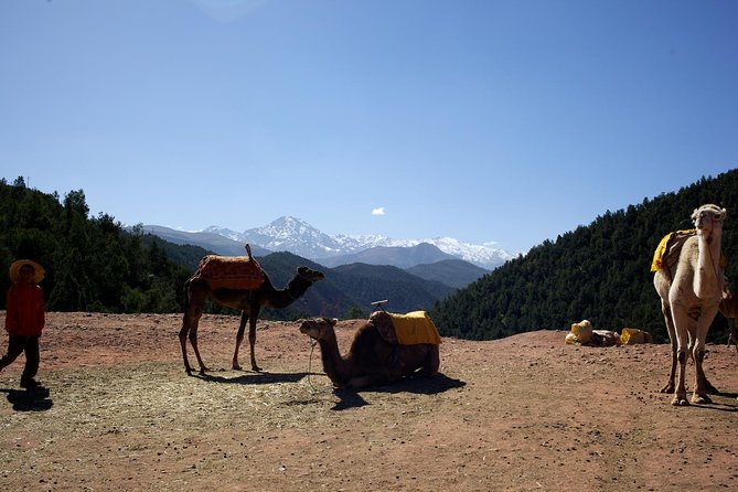Ourika Valley and Atlas Mountains Full Day Tour With Lunch - Overview and Tour Details