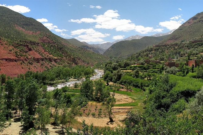 Ourika Valley (Atlas Mountain) - Day Trip From Marrakech - What To Expect