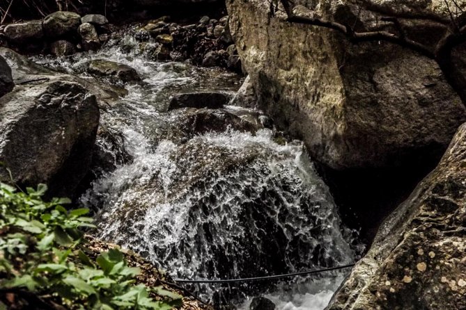 Ourika Valley : Atlas Mountains Day Trip From Marrakech - Highlights of the Atlas Mountains