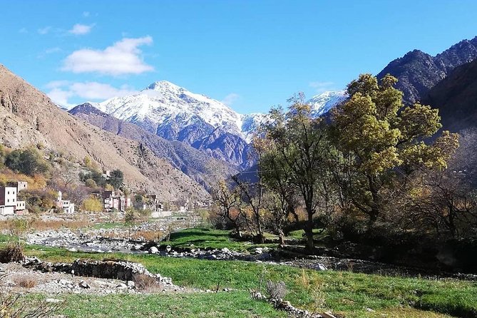 Ourika Valley Atlas Mountains | Shared Day Trip From Marrakech - Booking Information