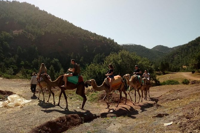 Ourika Valley Full Day Trip From Marrakech - Inclusions