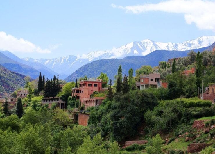 Ourika Valley: Highlights Tour From Marrakech - Taste Moroccan Flavors in Ourika Valley