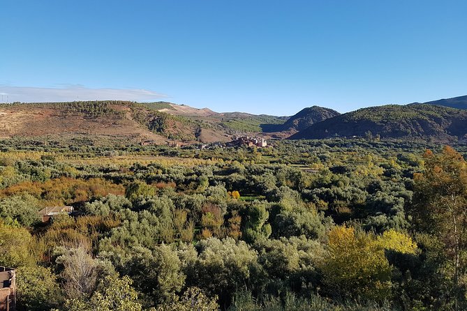 Ourika Valley Including Camel Ride Lunch and Guided Hike Day Tour From Marrakech - Pricing and Cancellation Policy
