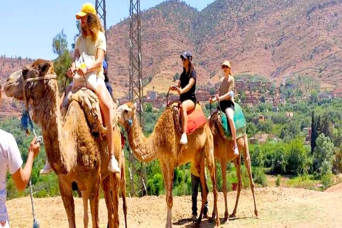 Ourika Valley: Private Luxury Trip to Atlas Mountains With All Inclusive - Traveler Photos and Reviews