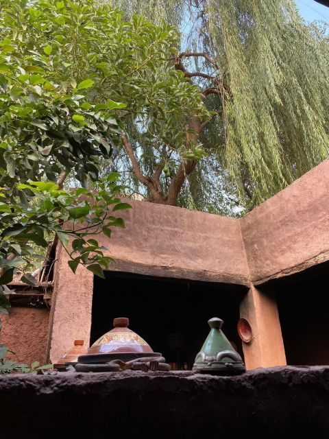 Ourika Valley & Waterfalls Day Trip From Marrakech - Activity Details