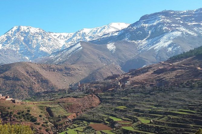 Ourika Waterfalls 1 Day Private Trip Through the Atlas Mountains From Marrakech - What to Expect