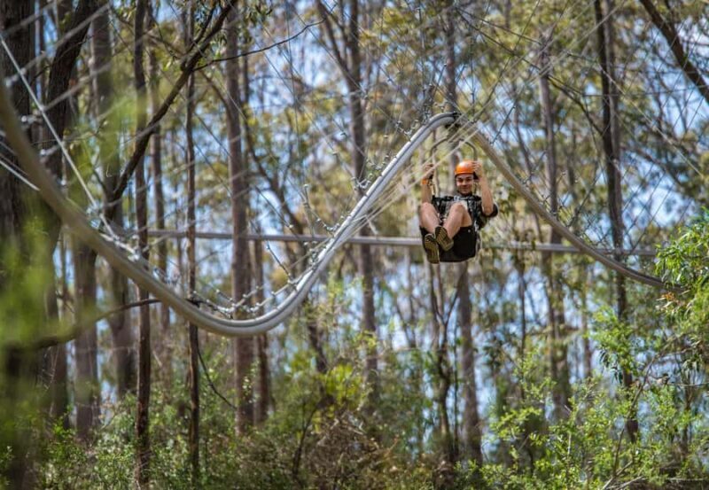 Ourimbah: Central Coast Zipcoaster - Good To Know