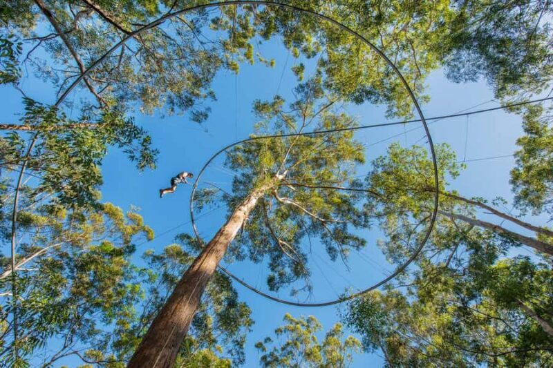 Ourimbah: Central Coast Zipcoaster - An Overview of the Central Coast Zipcoaster Experience