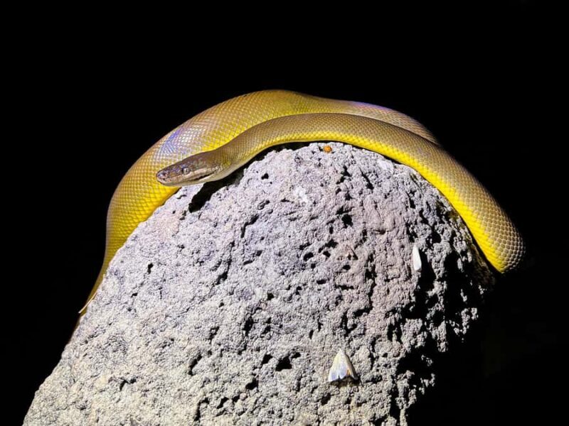 Outback Camp: Day Tour with Andrew Ucles - Who Should Consider This Tour?