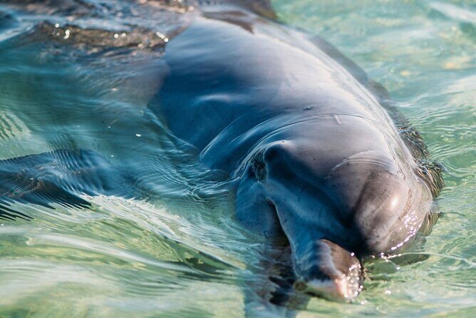 Outback Coast 4 Day Tour - Good To Know