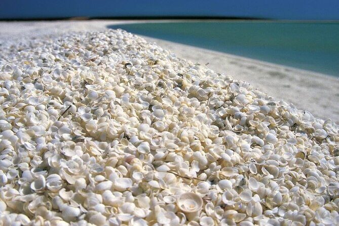 Outback Coast 4 Day Tour - Analyzing the 4-Day Itinerary