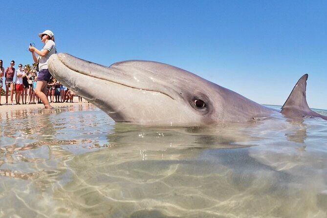Outback Coast 4 Day Tour - Final Thoughts