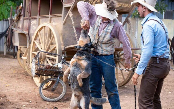 Outback Queensland: Unleashing Longreach Holiday 6-days - Experience Highlights