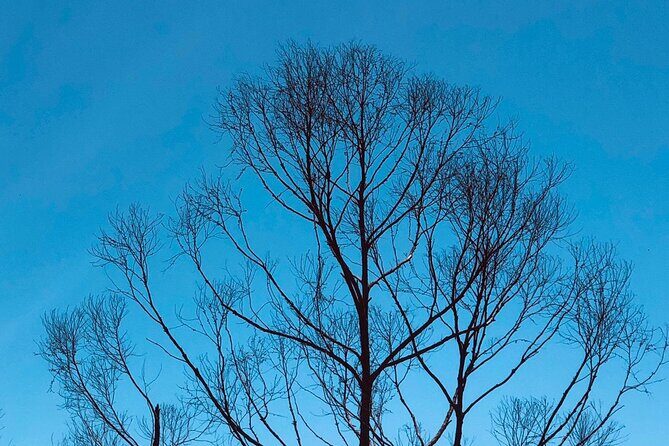 Outdoor and Sightseeing Tour in Ella with Lunch - The Itinerary in Detail