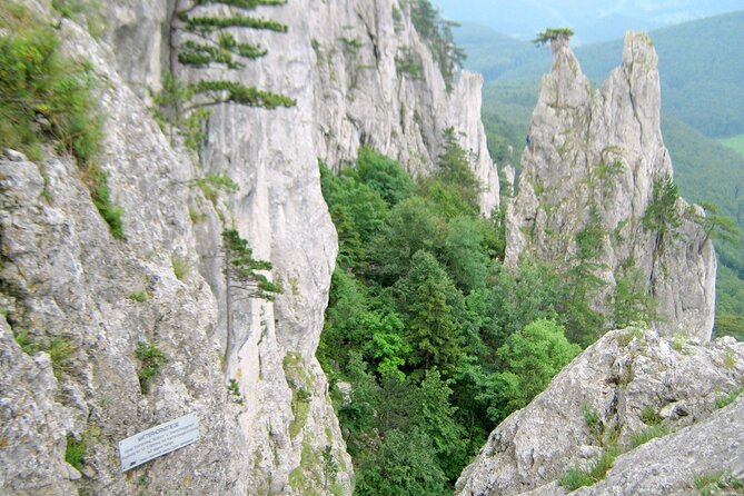 Outdoor Climbing - via Ferrata Experience in Vienna - Pricing and Duration