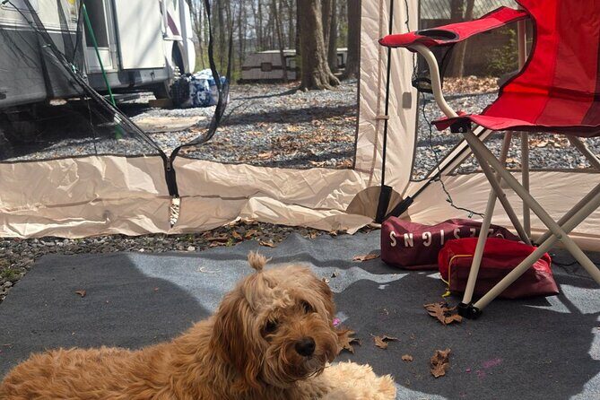 Outdoor Cooking Class Activity with Customizable Recipes - Conclusions: Is It Worth It?