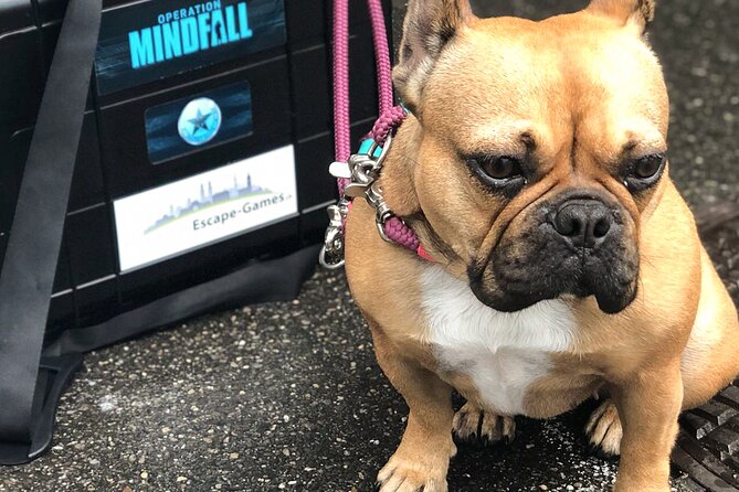 Outdoor Escape Room "Operation Mindfall" - How to Book and Prepare for the Experience