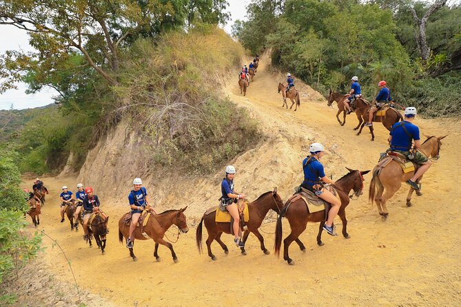 Outdoor Zip Line Adventure - Tour Highlights and Adventure Details