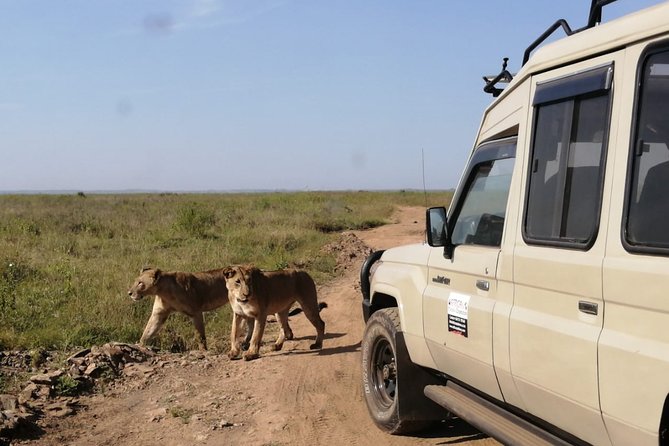 Outdoors And National Park Visits - Top National Parks to Visit