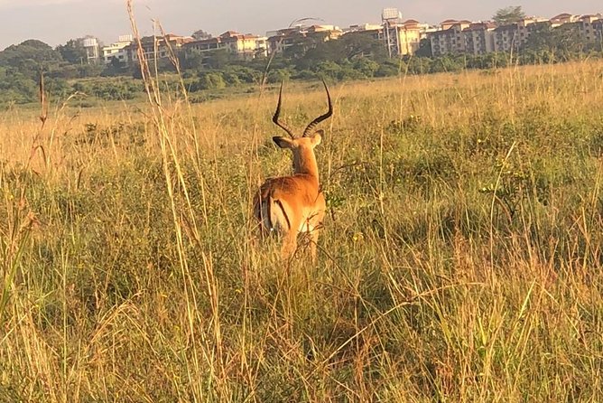 Outdoors And National Park Visits - Conservation and Sustainability Initiatives