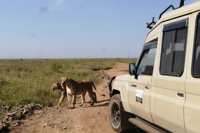 Outdoors And National Park Visits - Planning Your National Park Trip