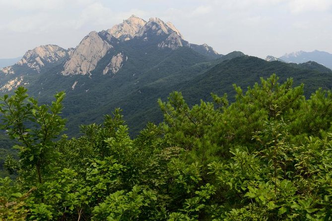 Outdoors In Seoul - Flexible Meeting Points