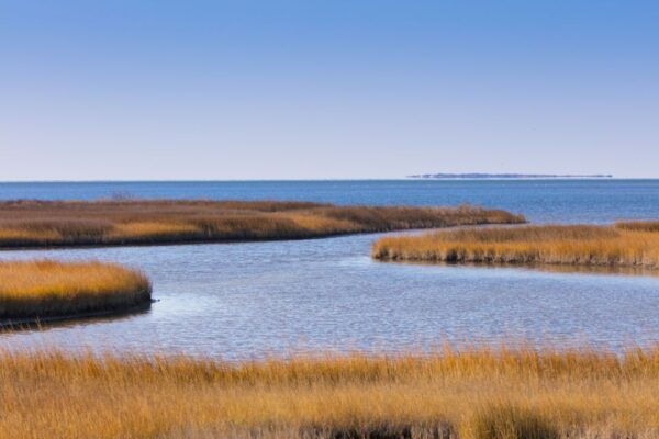 Outer Banks & Cape Hatteras Seashore Self-Guided Drive Tour - Important Information and Costs