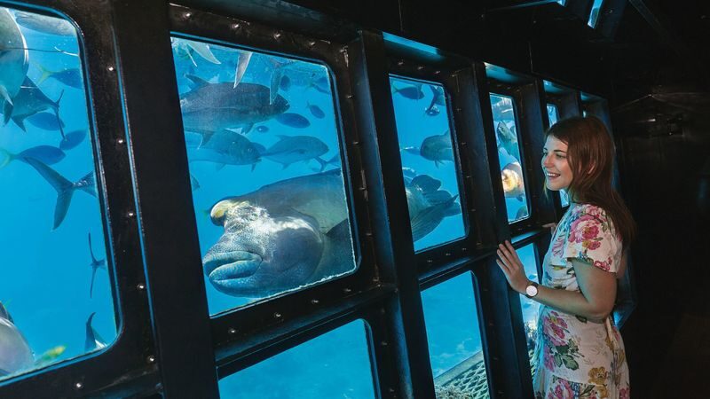 Outer Reef Pontoon Full Day Tour at Moore Reef - Should you book the Moore Reef tour?